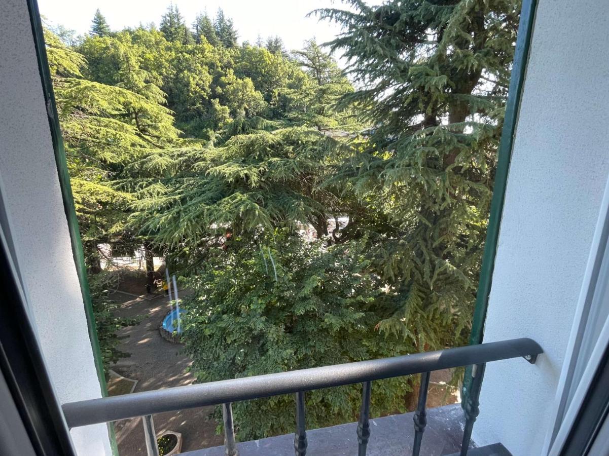 Novecento Luxury&Spa Residence 4 Stelle Montese エクステリア 写真